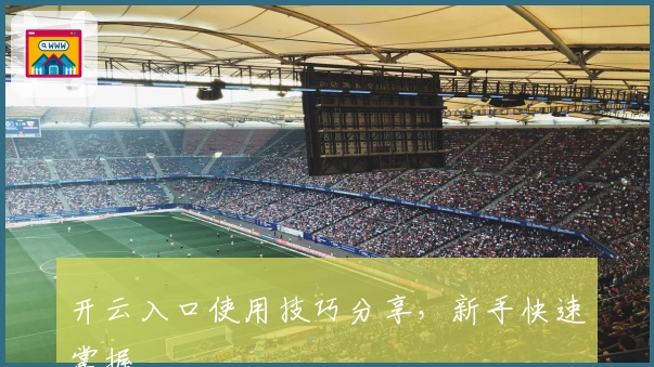 开云入口使用技巧分享，新手快速掌握