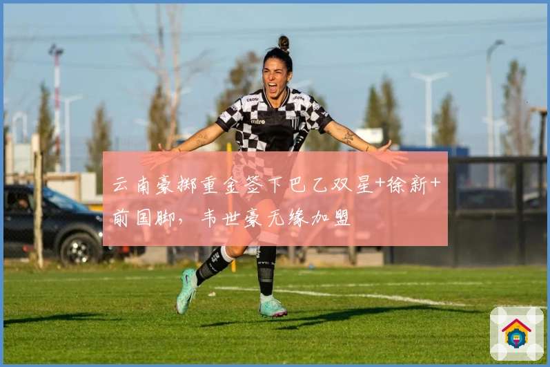 云南豪掷重金签下巴乙双星+徐新+前国脚，韦世豪无缘加盟