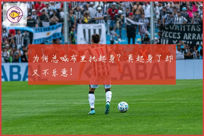 为何总喊布里托起身？真起身了却又不乐意！