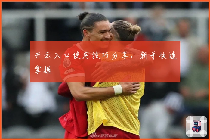 开云入口使用技巧分享，新手快速掌握